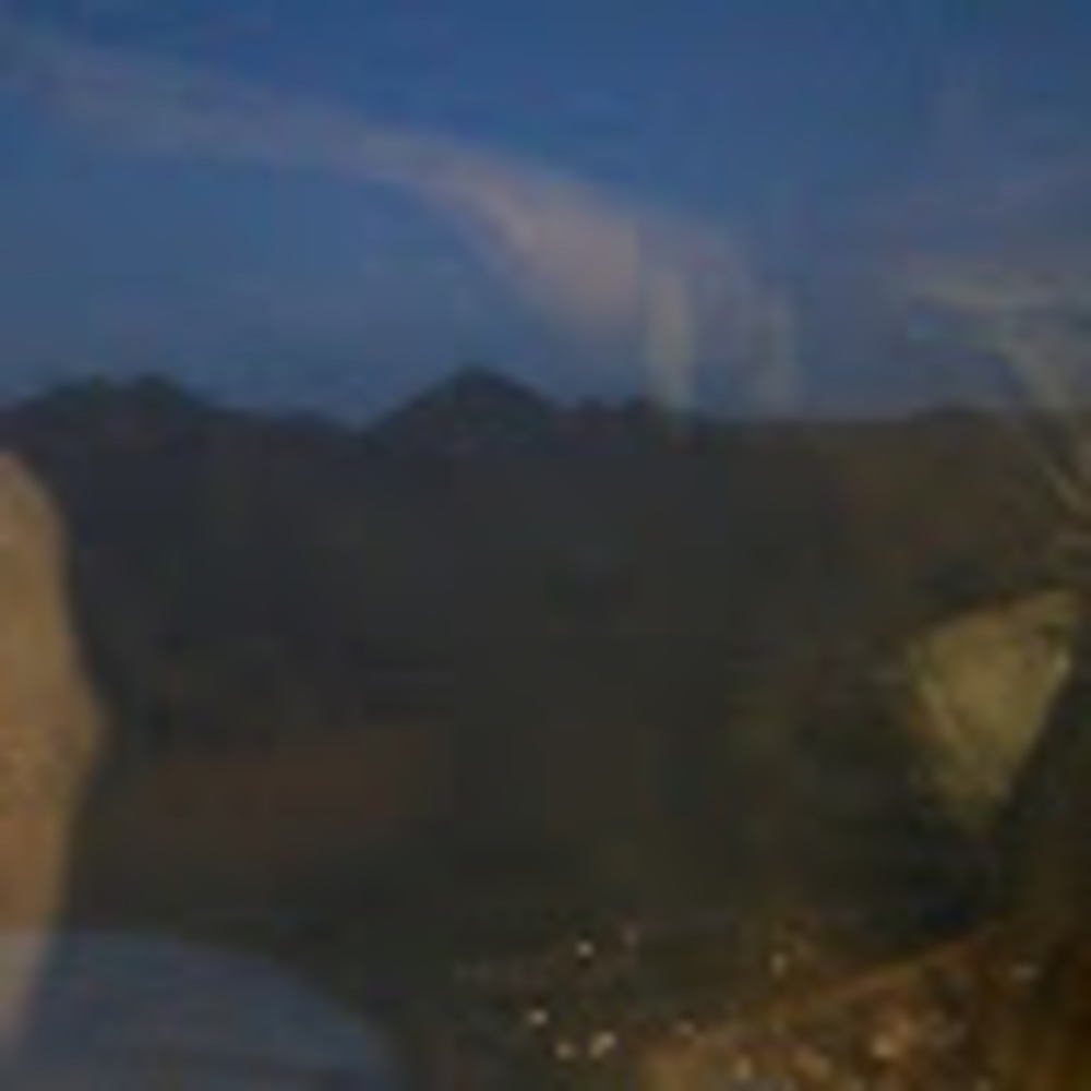 Meet your Posher, Ella